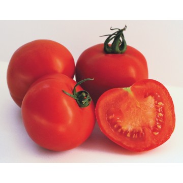 Tomate Prévia